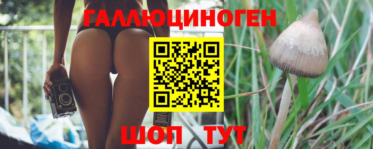 Галлюциногенные грибы Cubensis Дербент