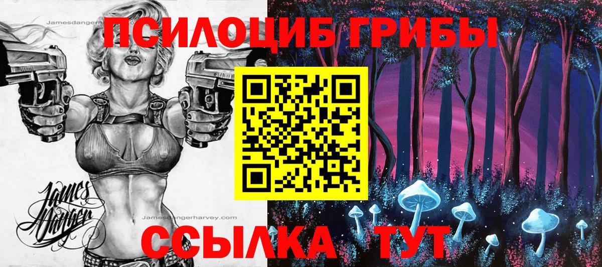 Галлюциногенные грибы прущие грибы  Вход с VPN  Галлюциногенные грибы мухоморы  Дербент 
