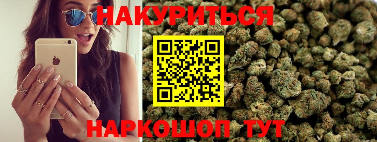 Каннабис конопля Дербент